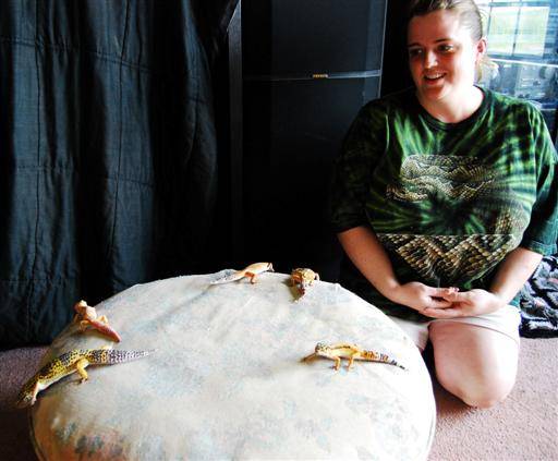 Bonita and her various geckos.