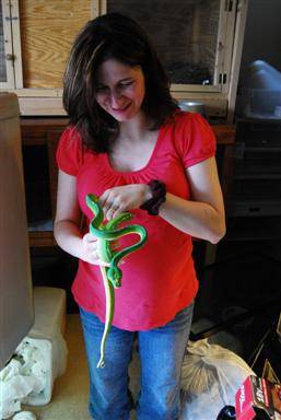 Maya handles a boa